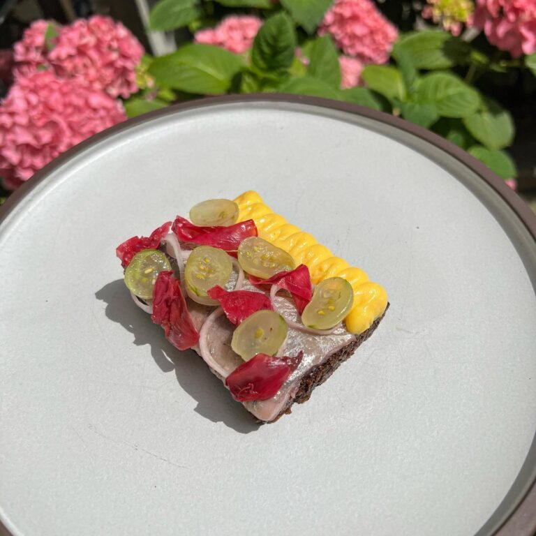 293356549_349976747319188_62708781569782786_n