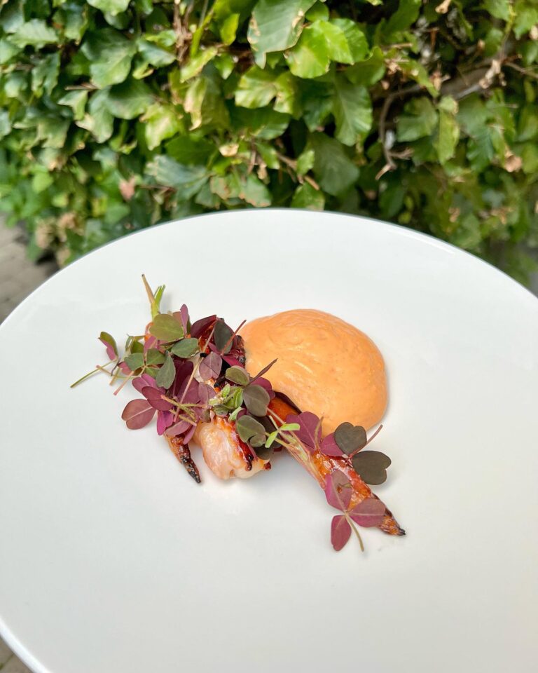 310563353_398702622450492_8080605175852174760_n