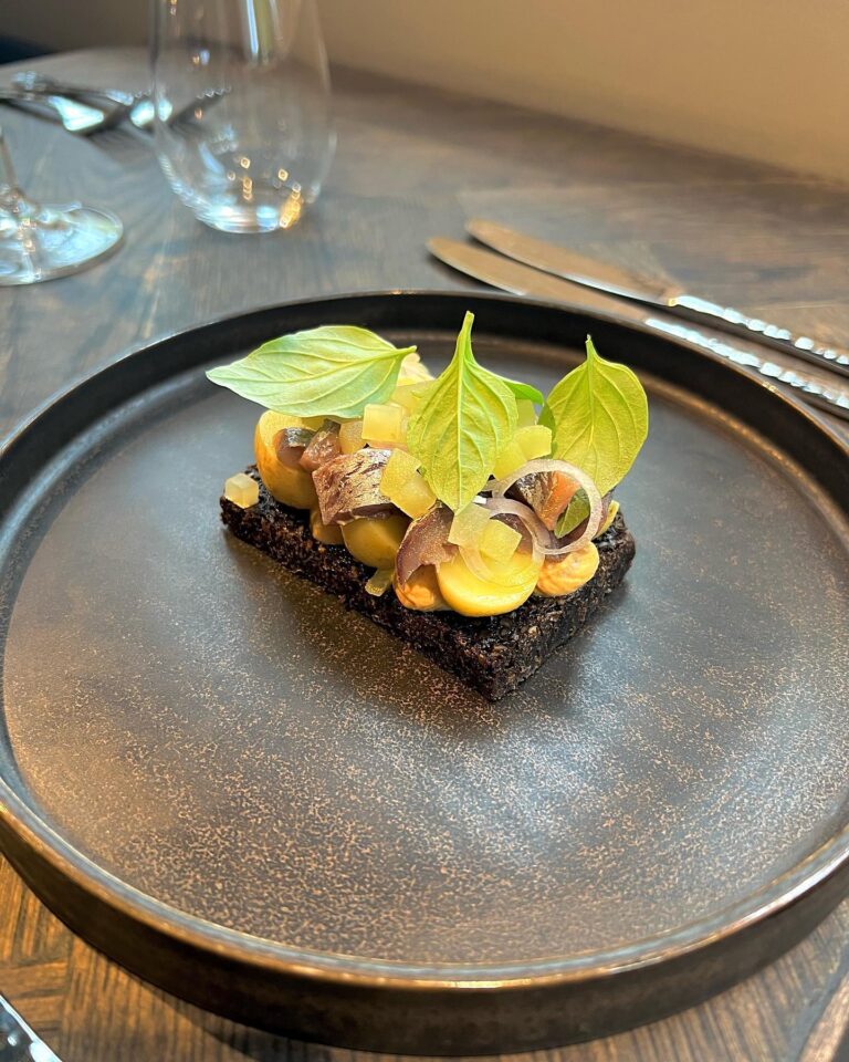 313293496_415335664120521_5461903571574743061_n