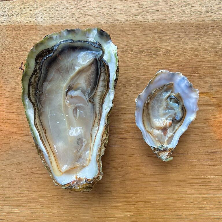 314472753_421203673533720_6471310496251427877_n