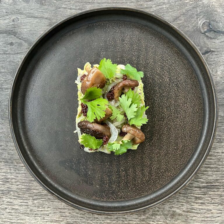 323558778_6627555053927007_6337787859958382791_n